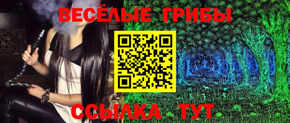 Фролово  Псилоцибиновые грибы Psilocybe  Вход с VPN 